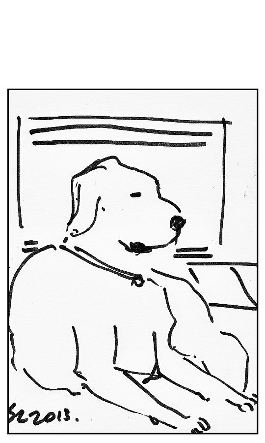 Dog Drawing - Olde Dog by Samuel Zylstra