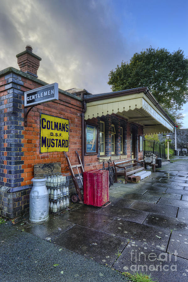 Olde Station Photograph by Ian Mitchell