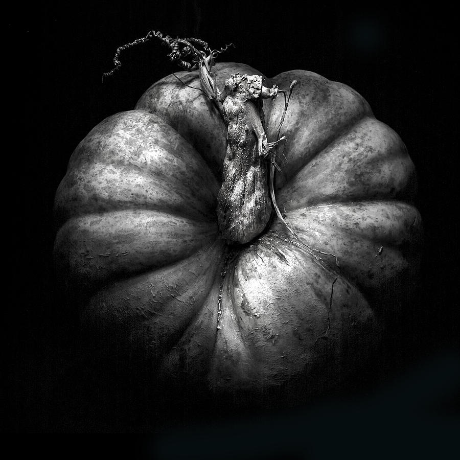 pumpkin black and white photography