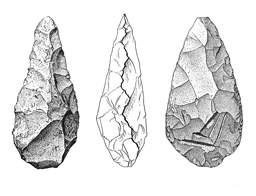 Oldowan Hand-axe, Lower Paleolithic Photograph by Wellcome Images