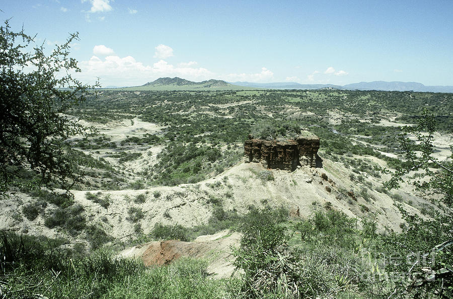 Olduvai Gorge Photograph by Gregory G. Dimijian, M.D.