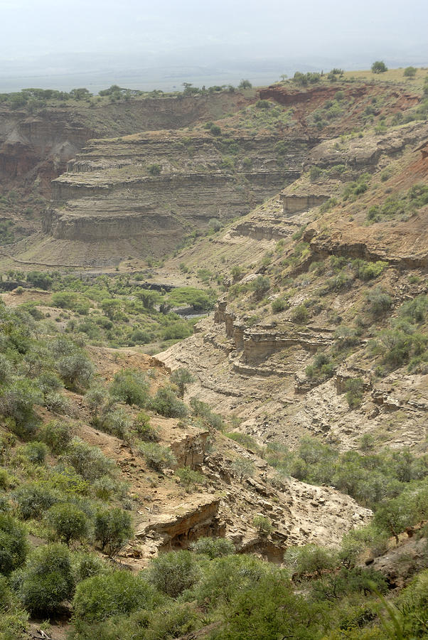 Olduvai Gorge Photograph by Peter Groenendyk