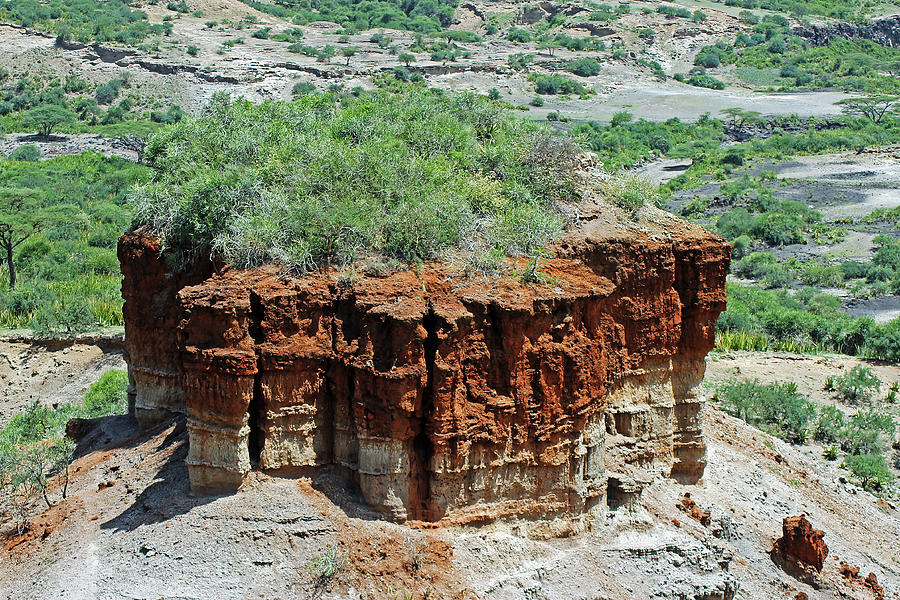Olduvai Gorge Photograph by Tony Murtagh