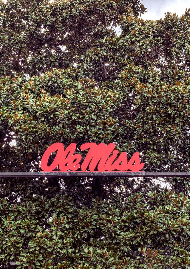 Ole Miss Photograph by JC Findley