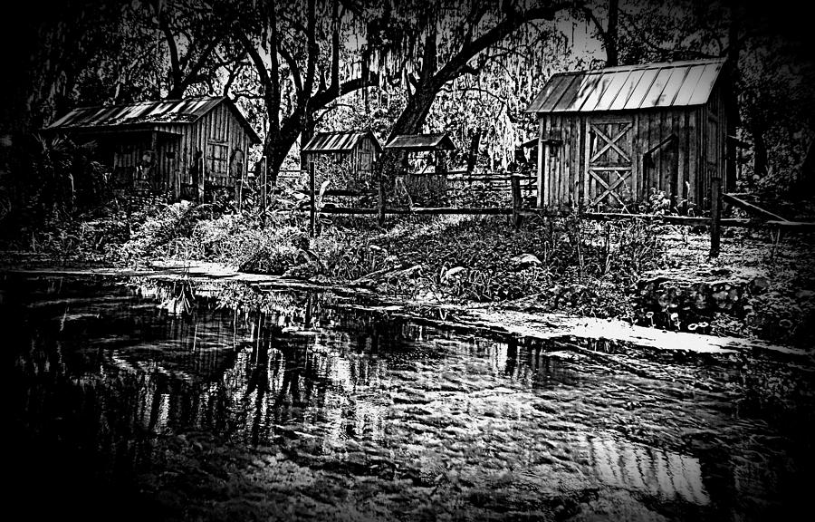 Ole River Farm B W Silver Springs 1 Photograph by Sheri McLeroy