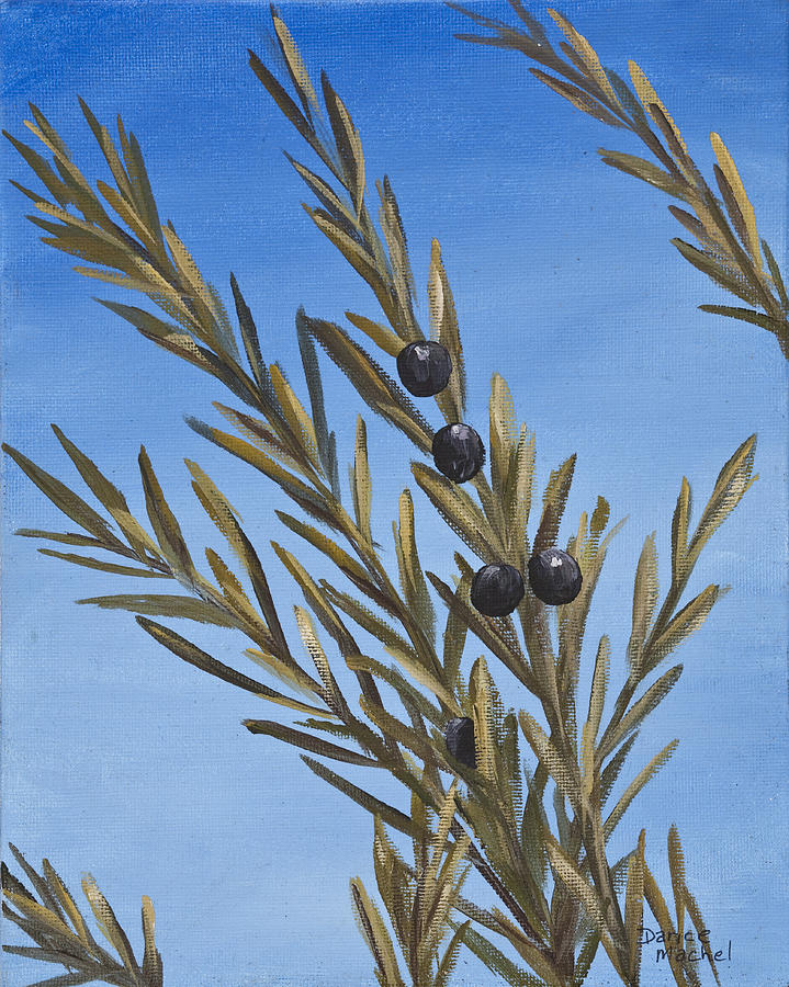 Olive Branch  Painting by Darice Machel McGuire