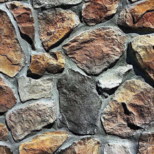 Olive Garden / Stone Wall Photograph by Elisa Franzetta