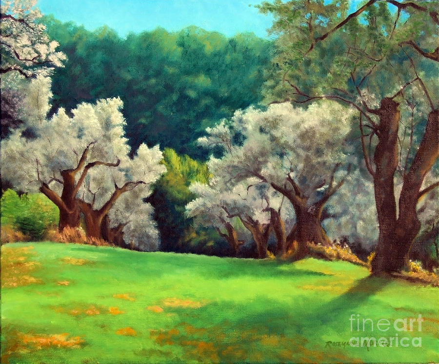 Olive Grove Moricone Italy Painting