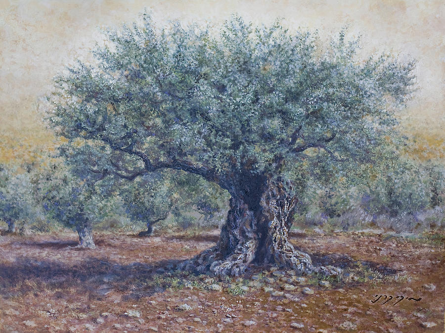 Olive in the summer  Painting by Miki Karni