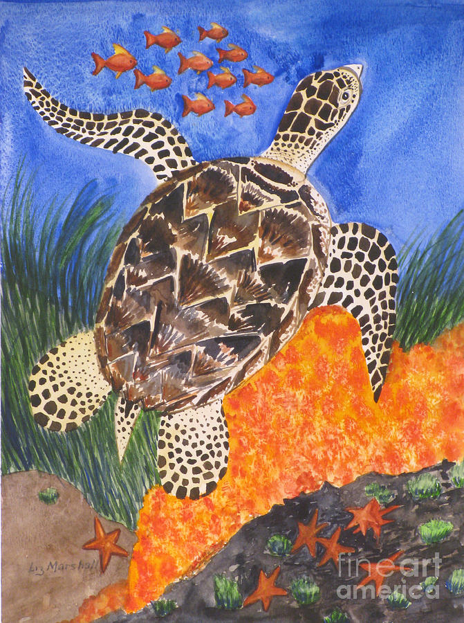 Turtle Painting - Olive Ridley Sea Turtle by Liz Marshall