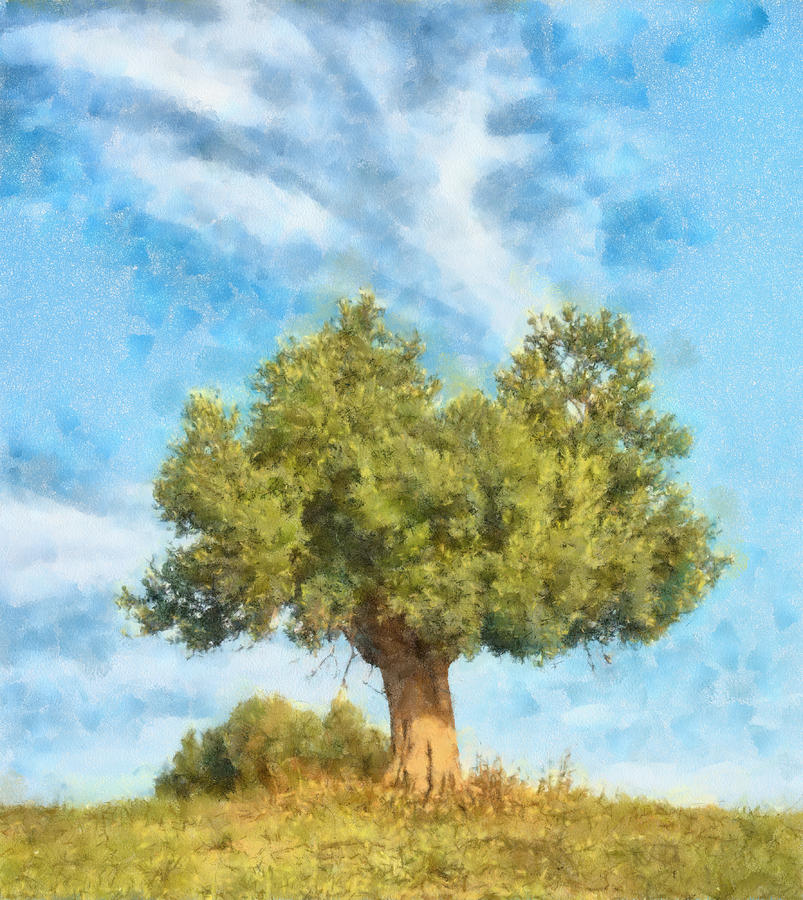 Olive tree and moon Digital Art by Roy Pedersen - Fine Art America