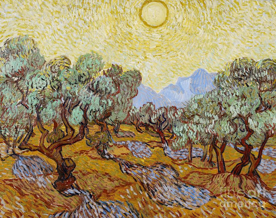 Van Painting - Olive Trees by Vincent Van Gogh