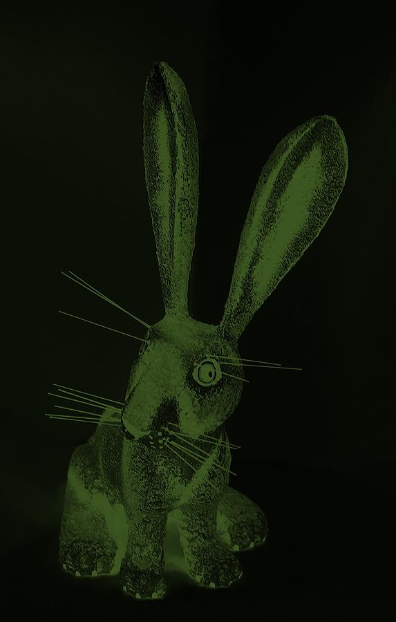Olive Green New Mexico Rabbit Photograph by Rob Hans