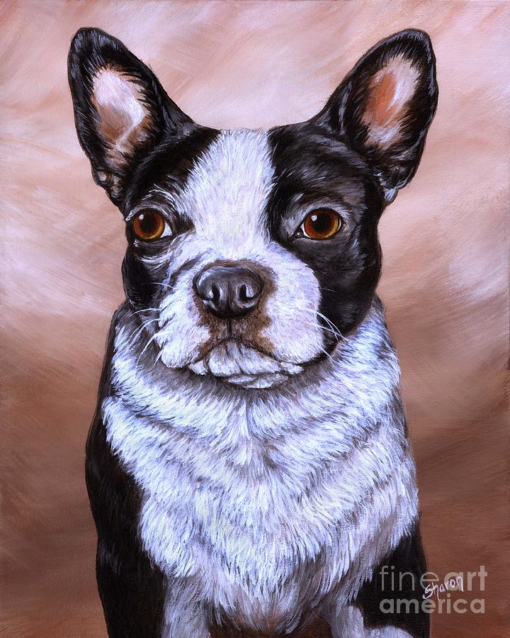 Oliver bull terrier Painting by Sharon Molinaro