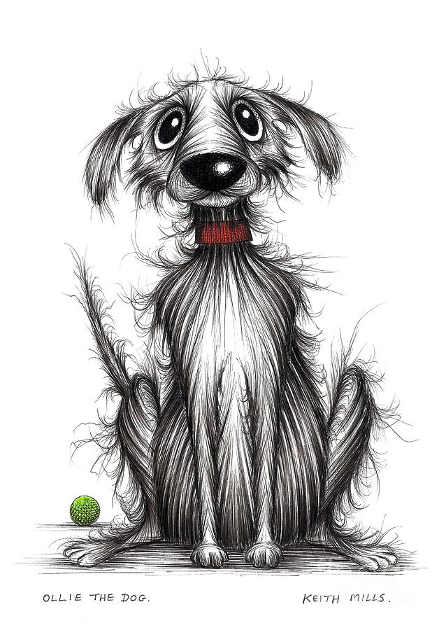 Ollie the dog Drawing by Keith Mills