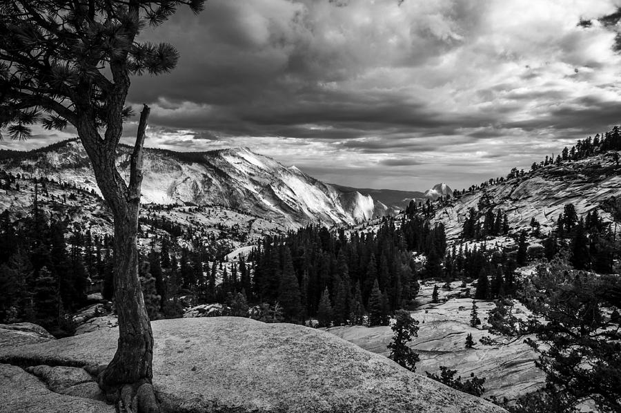 Yosemite National Park Photograph - Olmstead Point by Cat Connor