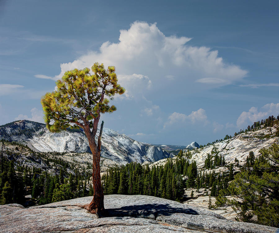 Olmstead Point, Yosemite National Park Photograph by Ed Freeman
