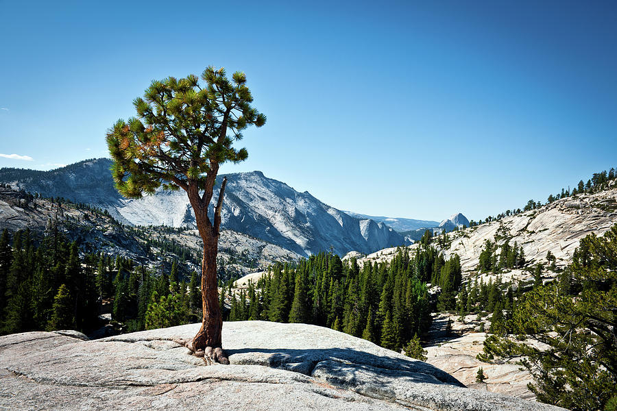 Olmsted Point And Half Dome In Yosemite Photograph by Pavliha