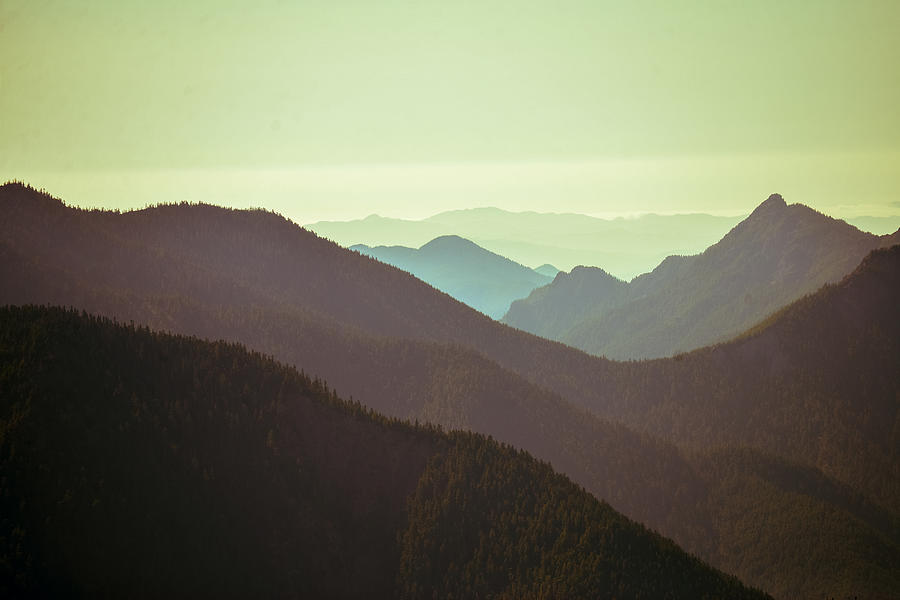 Olympic Mountain Layers Photograph by Ronda Broatch