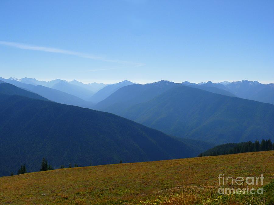 Mountain Photograph - Olympic Mountains From the North by Terri Thompson
