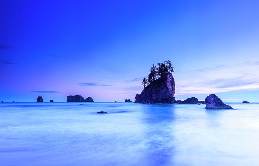 Olympic National Park Coastline Photograph by Dave Moorhouse