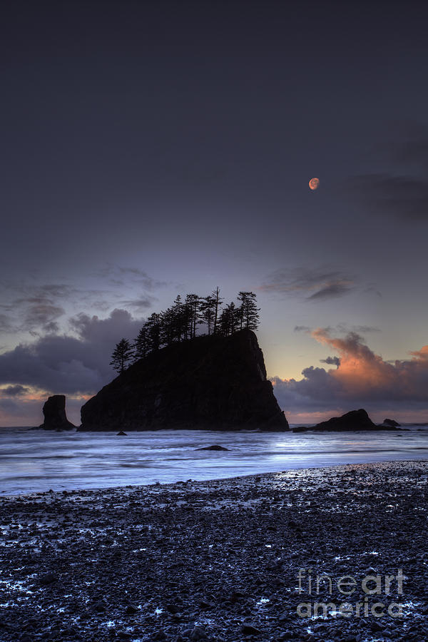 Olympic National Park Photograph - Olympic Nationals Moon Stacks by Marco Crupi