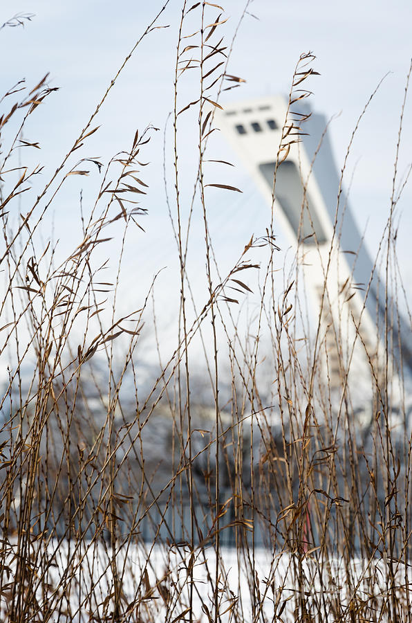 Olympic Stadium From Montreal Photograph