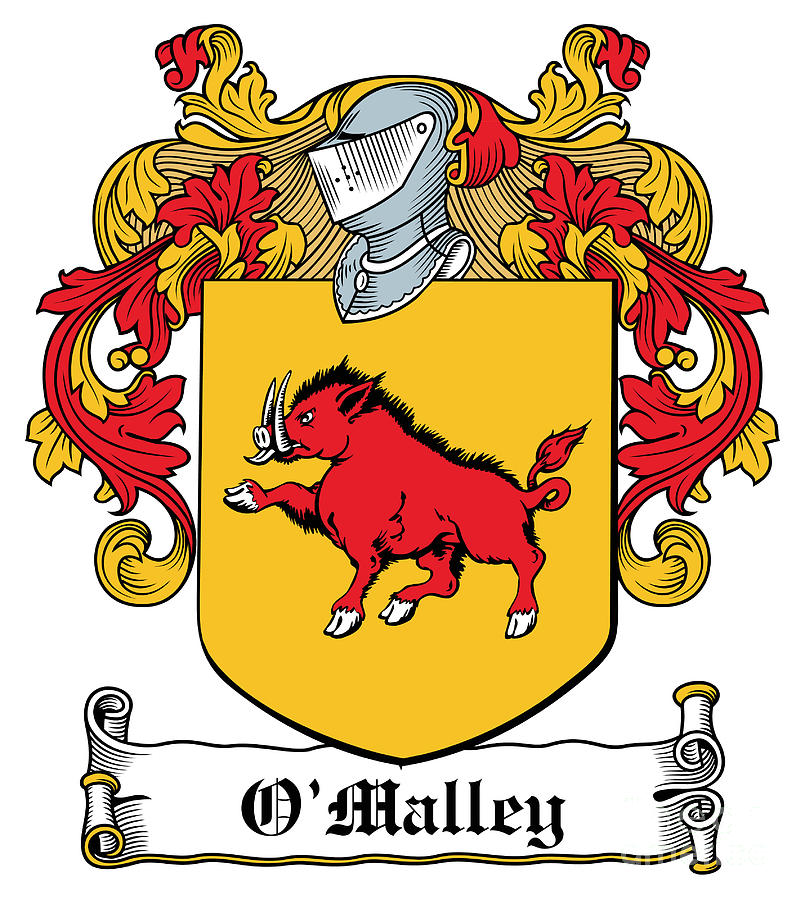 OMalley Coat of Arms Mayo Digital Art by Heraldry