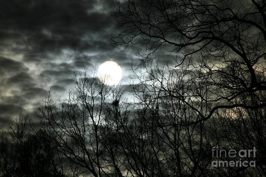Sunset Photograph - Ominous Sun by Neal Eslinger