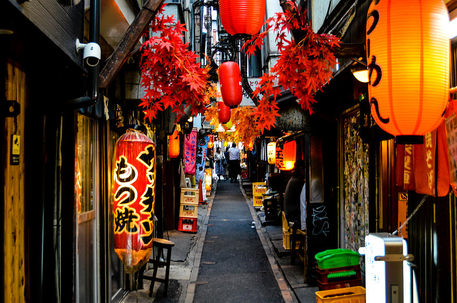 Omoide-Yokocho in Shinjuku district of Tokyo Photograph by Starcevic