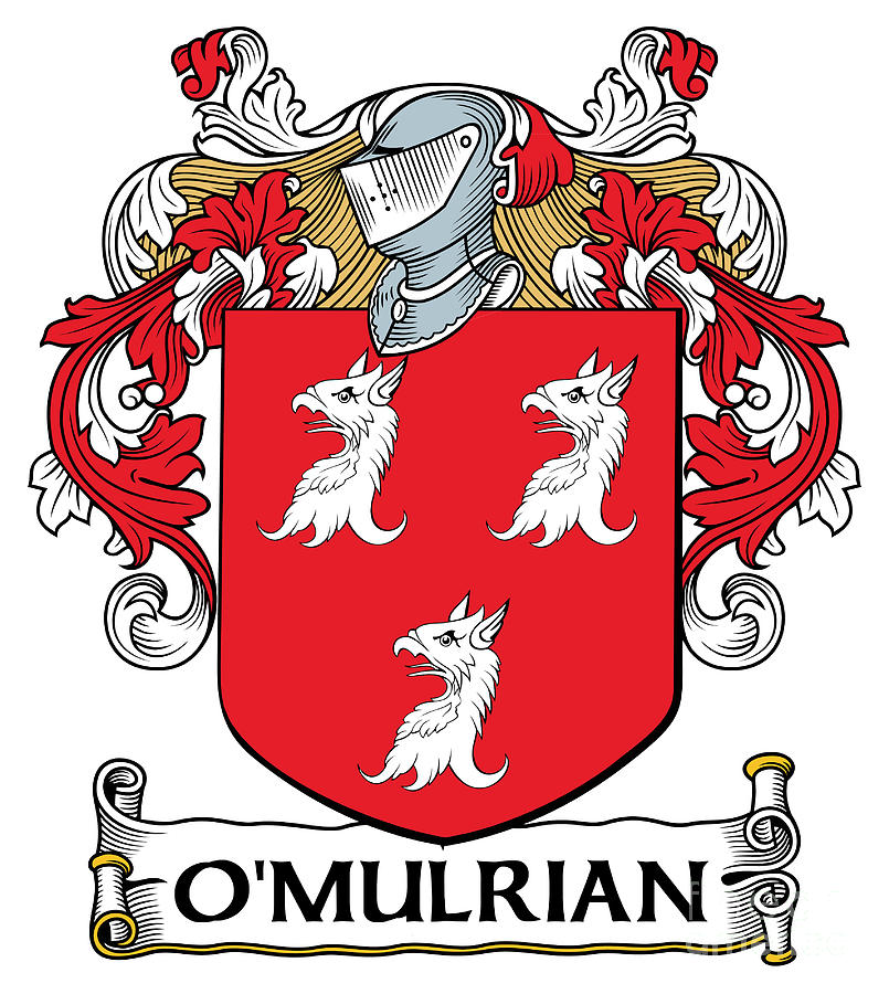 OMulrian Coat of Arms Irish Digital Art by Heraldry - Fine Art America
