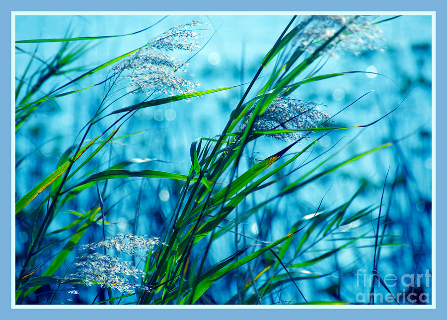 On a Blue Afternoon Photograph by Susanne Van Hulst