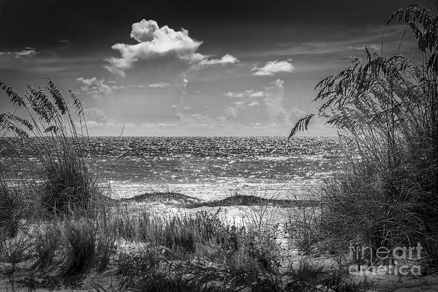 Long Beach Photograph - On A Clear Day-bw by Marvin Spates