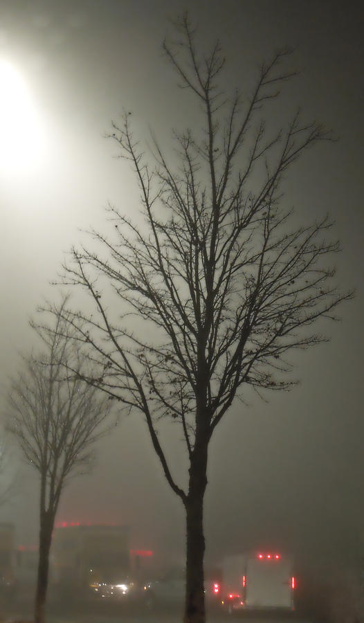On a Foggy Night Photograph by Pete Trenholm