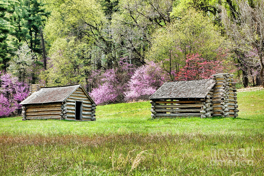 Historic Log Cabins in Spring Meadow Photograph - On a Hill at Valley Forge by Olivier Le Queinec