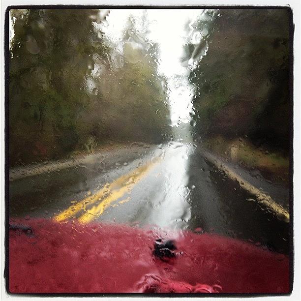 On A Rainy Back Country Road Listening Photograph by Rachel Houghton