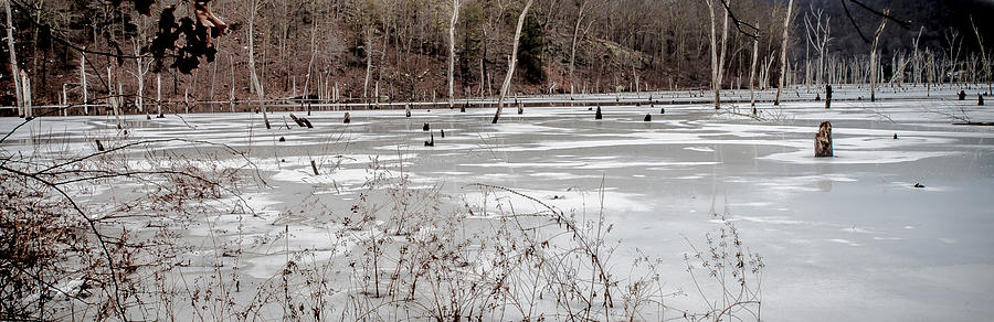 On Frozen Pond Photograph by Jim DeLillo