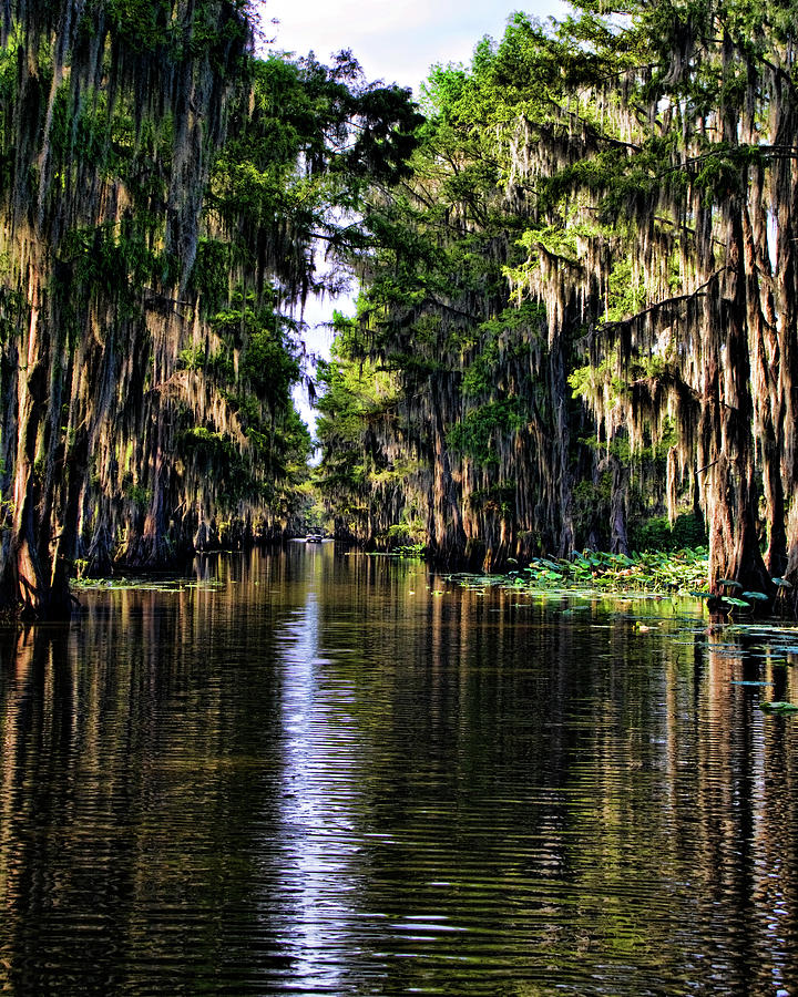 On Golden Canal Photograph by Lana Trussell
