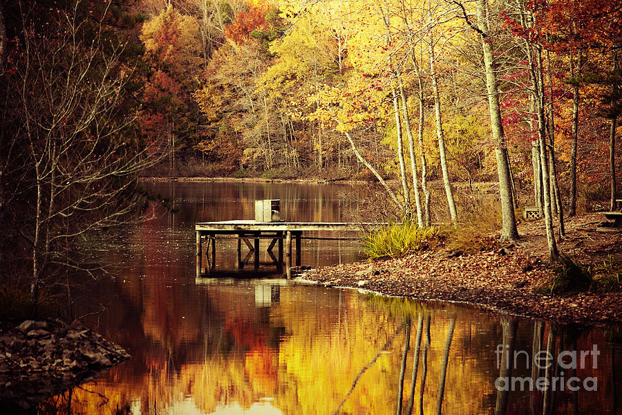 Huntsville Photograph - On Golden Pond by Katya Horner