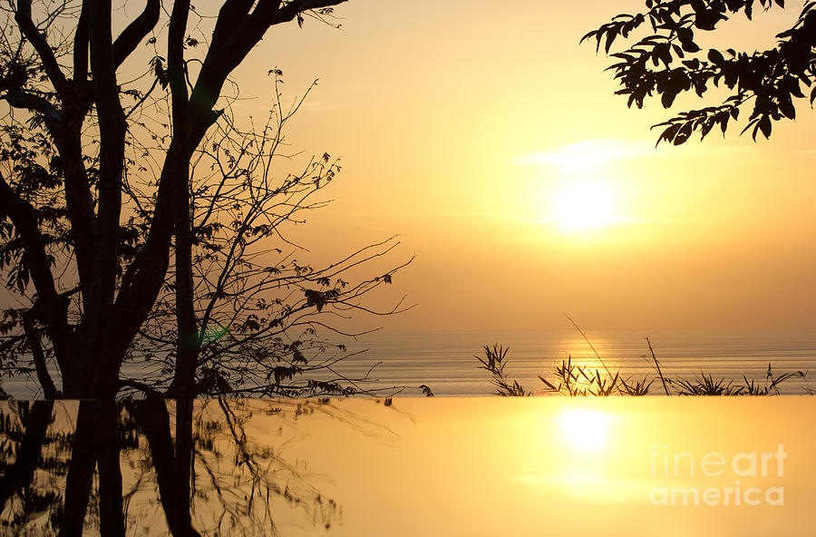 Sunset Photograph - On Golden Pond by Kaye Menner