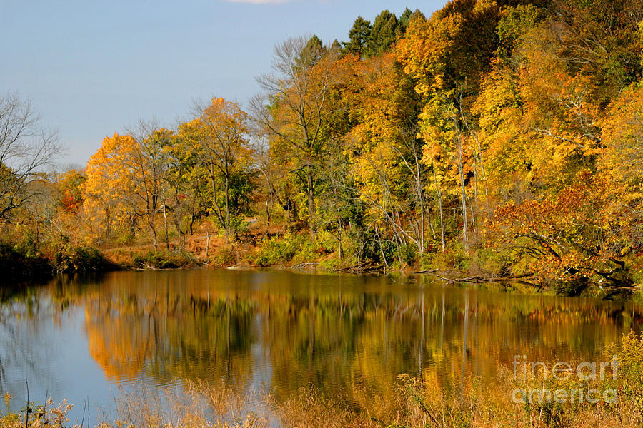 Fall Photograph - On Golden Pond by Living Color Photography Lorraine Lynch