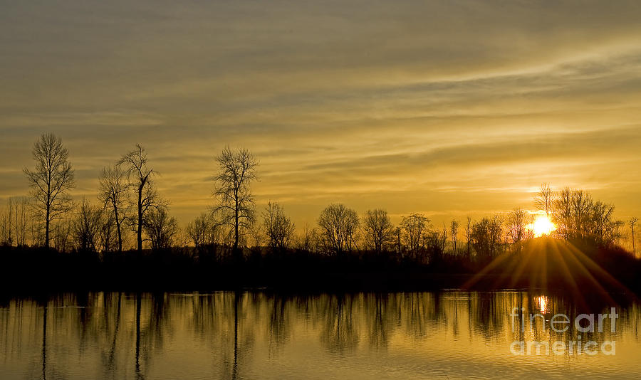 Nature Photograph - On Golden Pond by Nick Boren