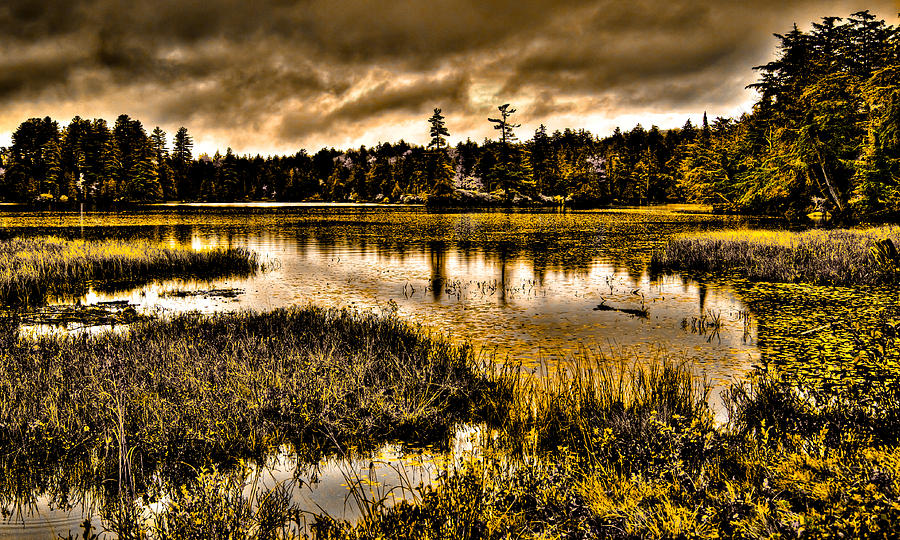 On Golden Pond - Raquette Lake in the Adirondack Mountains of New York Photograph by David Patterson