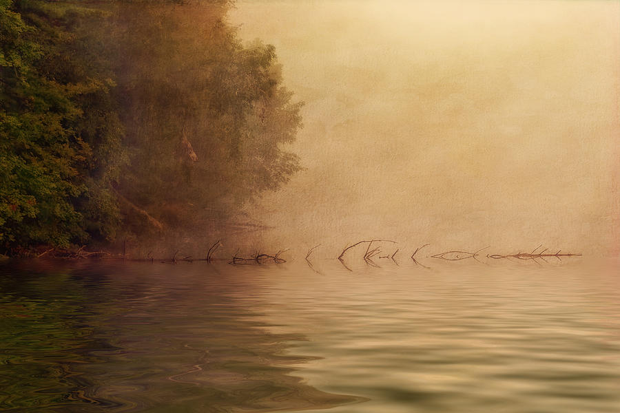 Nature Photograph - On Golden Pond by Tom Mc Nemar
