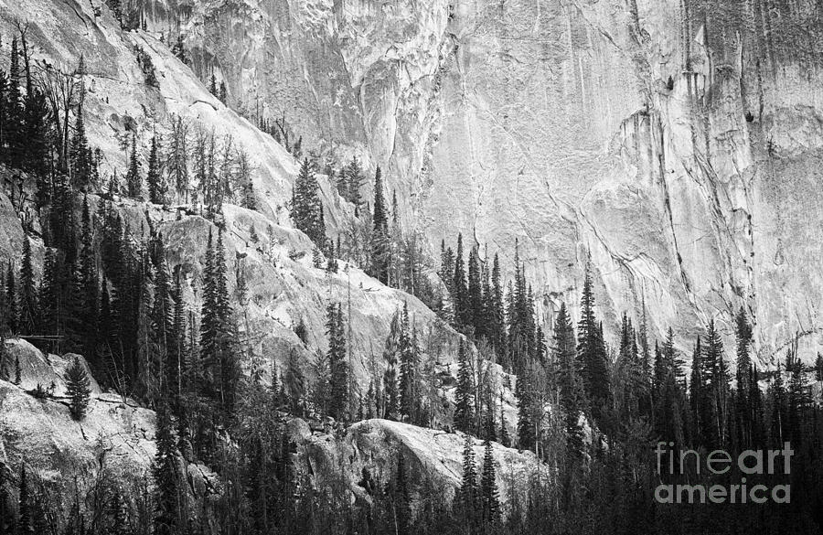On Granite Photograph by Idaho Scenic Images Linda Lantzy