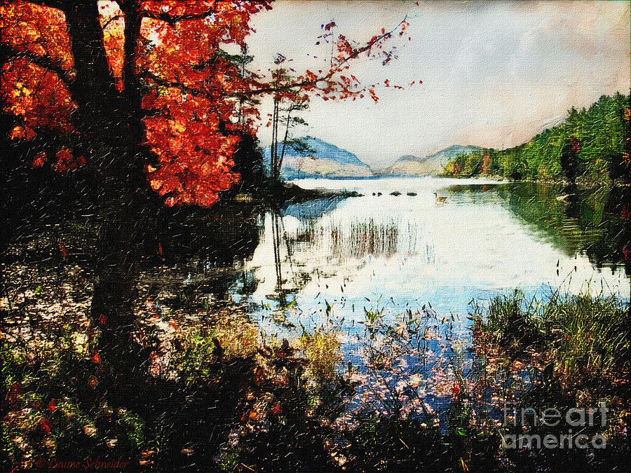 Acadia National Park Digital Art - On Jordan Pond by Lianne Schneider