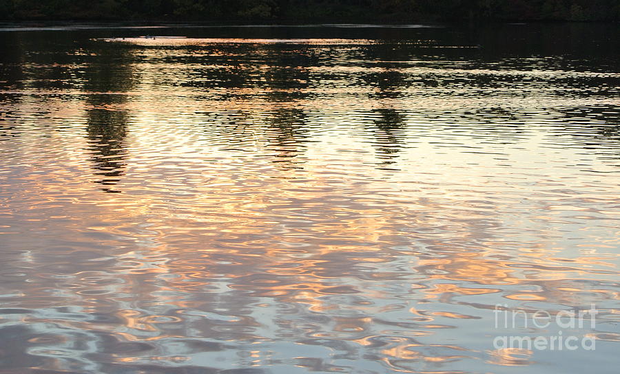 Claude Monet Photograph - On Shimmering Pond by Charlotte Stevenson