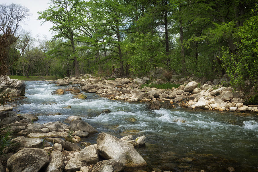 Nature Photograph - On the Banks of the Guadalupe River by Mountain Dreams