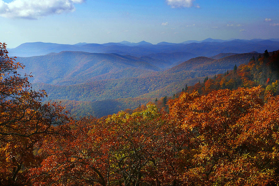 On the Blue Ridge Photograph by John Bennett