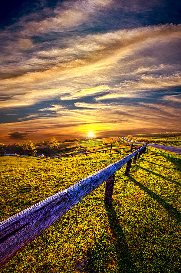 On The Brighter Side Photograph by Phil Koch